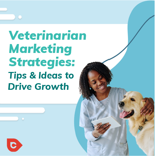 veterinary marketing, veterinary digital marketing agency, veterinary digital marketing, veterinary marketing agency